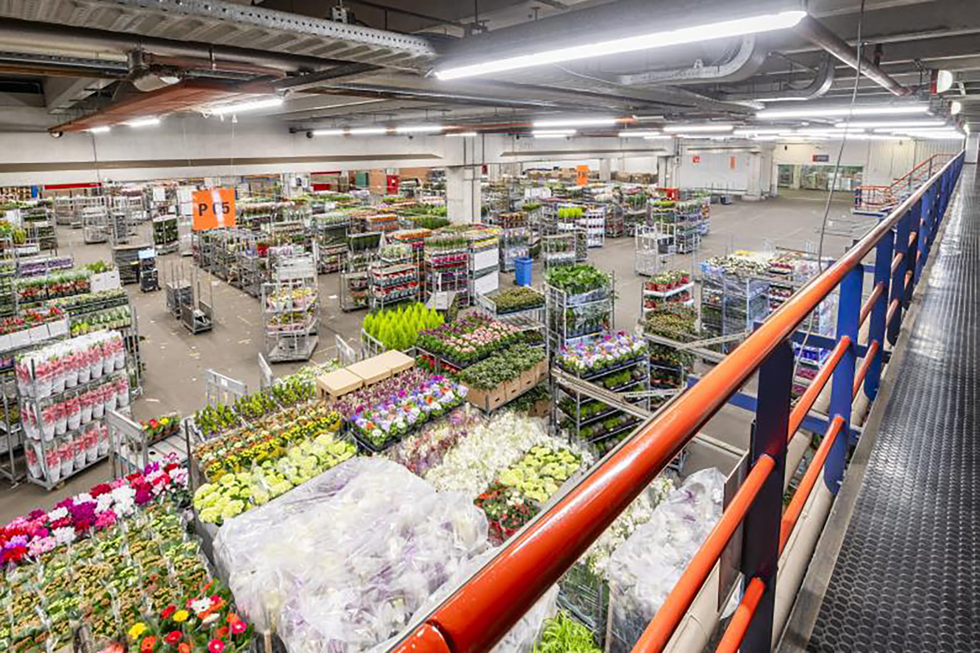 Plateforme logistique aux Pays-Bas-int1