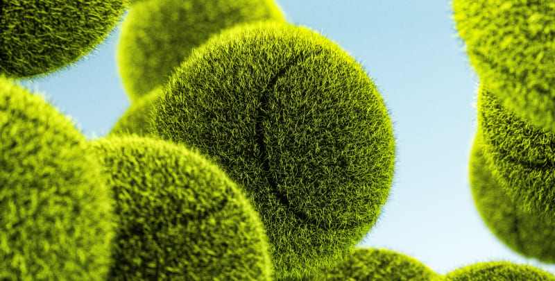 Label Greenly